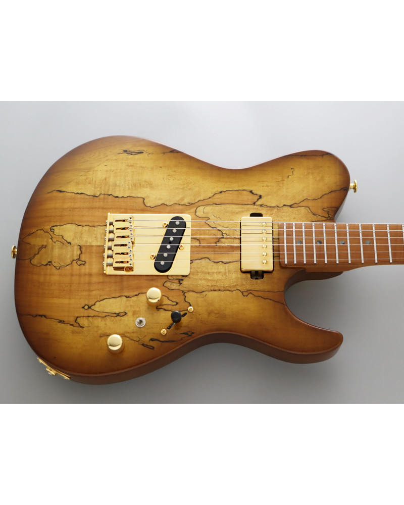 FGN FGEILEW1HSRMHCB Electric Guitar, Expert Iliad EW, Hojicha Burst, Case