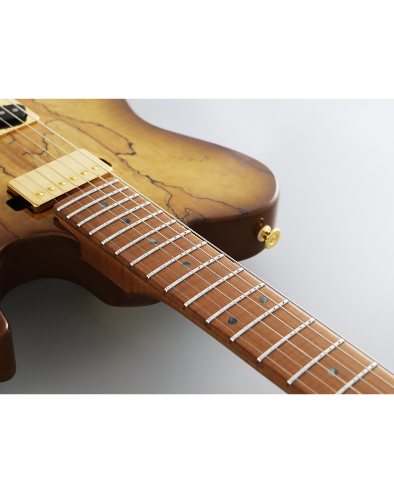 FGN FGEILEW1HSRMHCB Electric Guitar, Expert Iliad EW, Hojicha Burst, Case