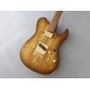 FGN FGEILEW1HSRMHCB Electric Guitar, Expert Iliad EW, Hojicha Burst, Case
