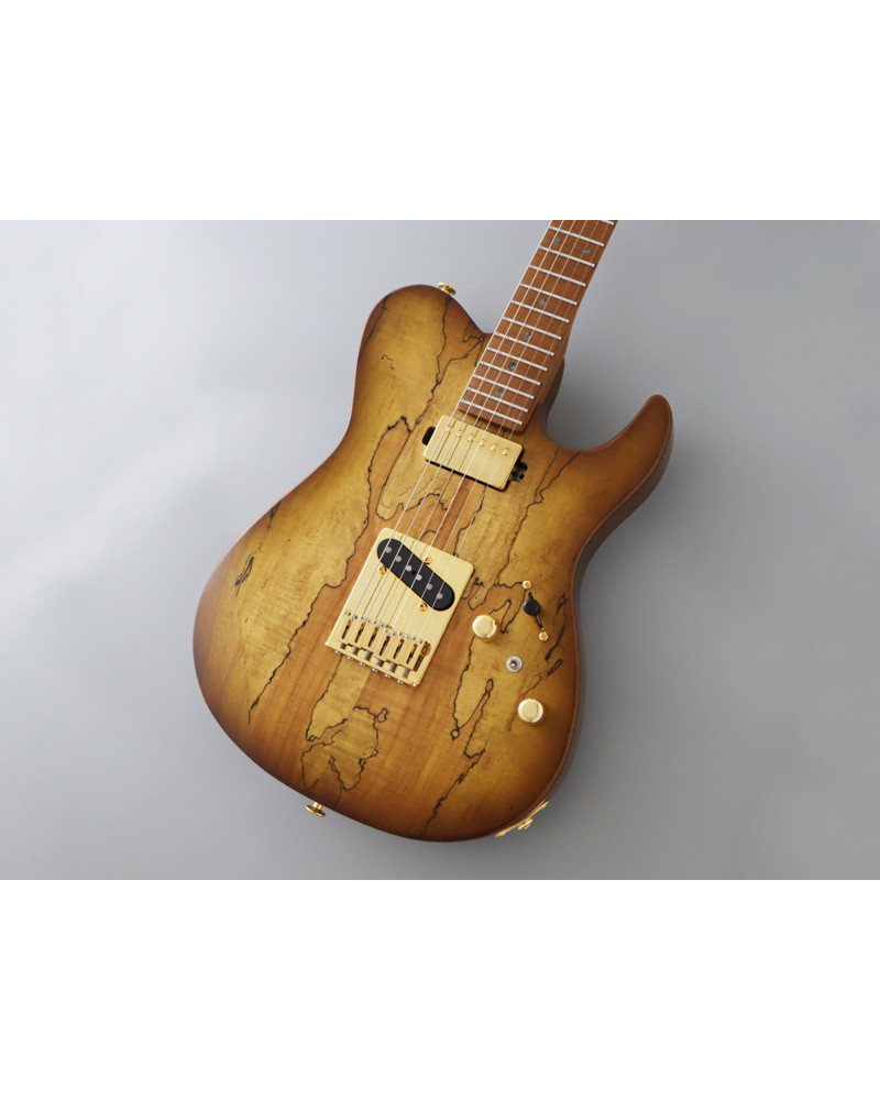 FGN FGEILEW1HSRMHCB Electric Guitar, Expert Iliad EW, Hojicha Burst, Case