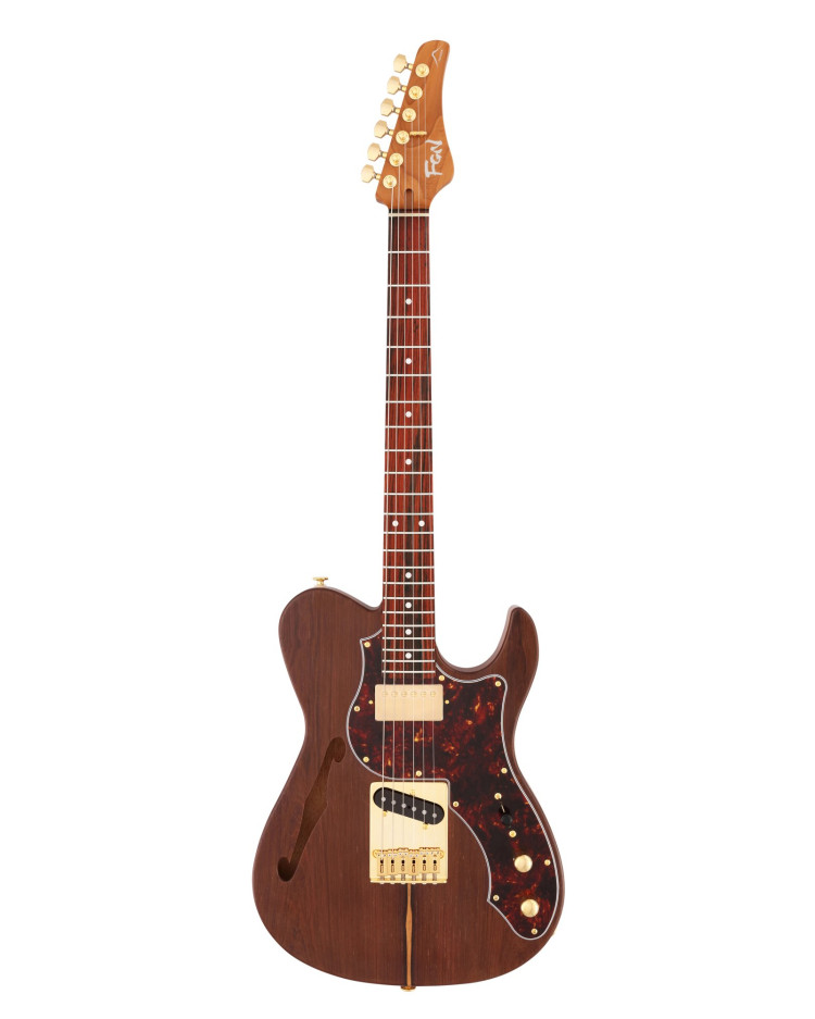 FGN FGEILTEW3HSMR Electric Guitar, Expert Iliad EW, Thinline Body, Natural Flat, Case