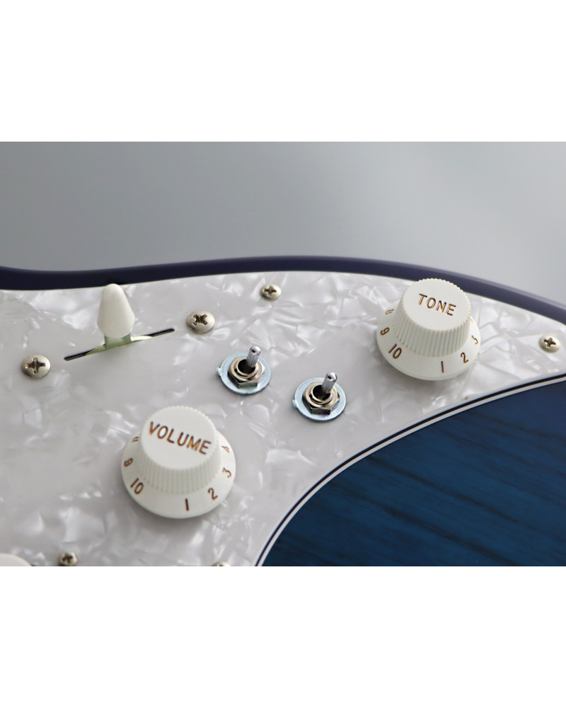 FGN FGEOS2ASHMSBB Electric Guitar, Expert Odyssey, Seethrough Blue Burst, Case