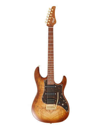 FGN FGEOS2EW1RMHCB Electric Guitar, Expert Odyssey EW, Hojicha Burst, Case