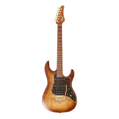 FGN FGEOS2EW1RMHCB Electric Guitar, Expert Odyssey EW, Hojicha Burst, Case