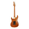 FGN FGEOS2EW1RMHCB Electric Guitar, Expert Odyssey EW, Hojicha Burst, Case
