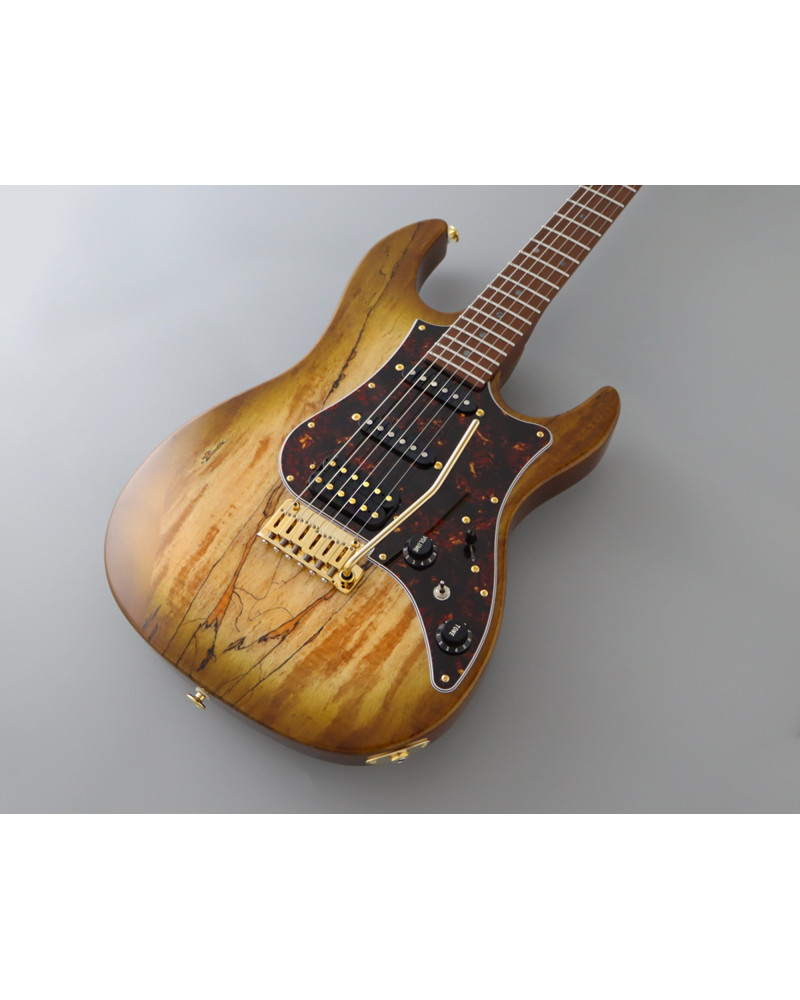 FGN FGEOS2EW1RMHCB Electric Guitar, Expert Odyssey EW, Hojicha Burst, Case