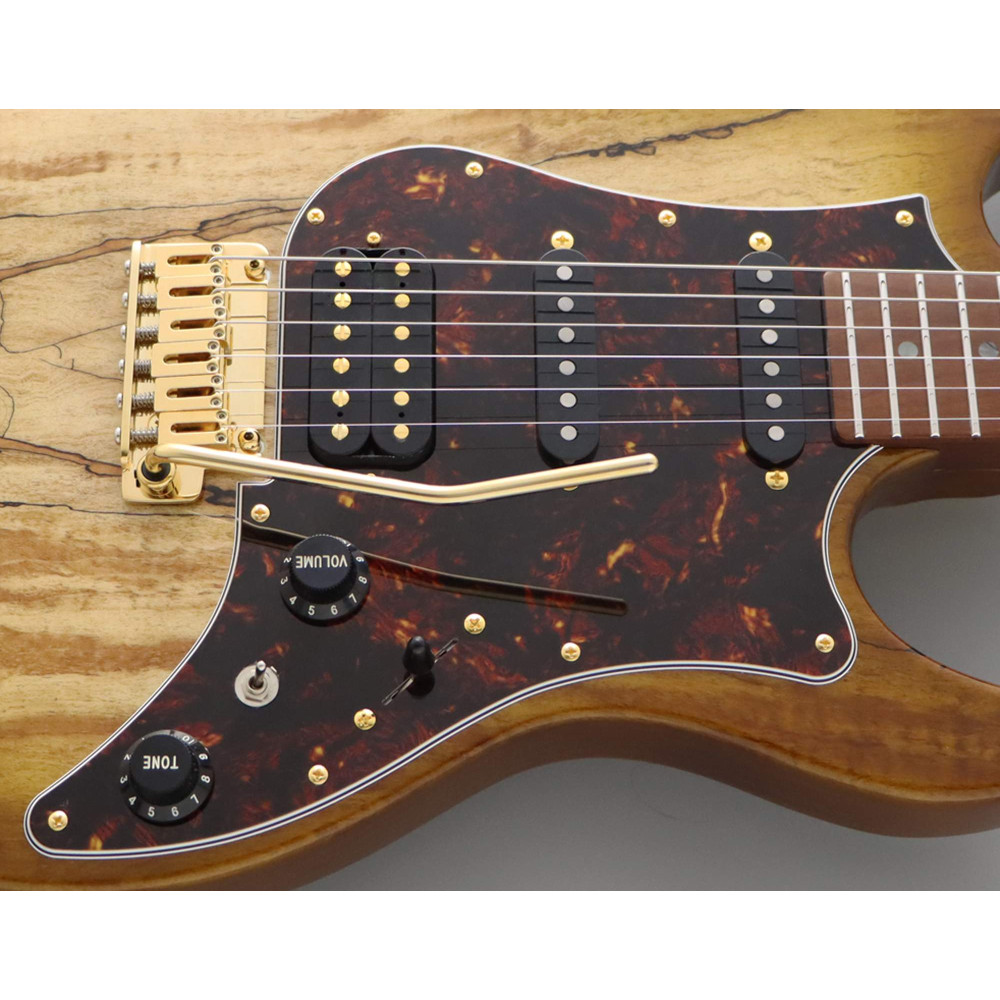 FGN FGEOS2EW1RMHCB Electric Guitar, Expert Odyssey EW, Hojicha Burst, Case