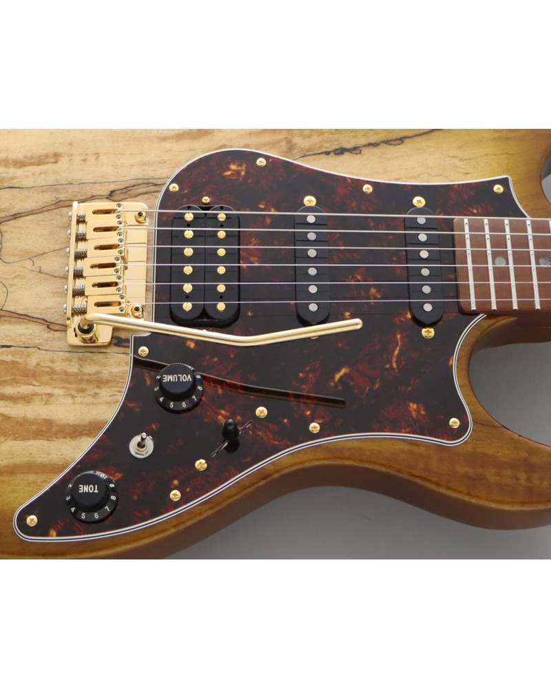 FGN FGEOS2EW1RMHCB Electric Guitar, Expert Odyssey EW, Hojicha Burst, Case