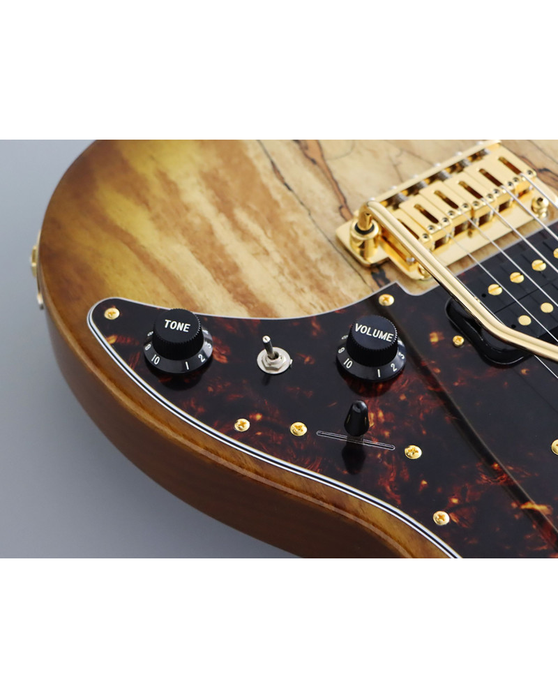 FGN FGEOS2EW1RMHCB Electric Guitar, Expert Odyssey EW, Hojicha Burst, Case