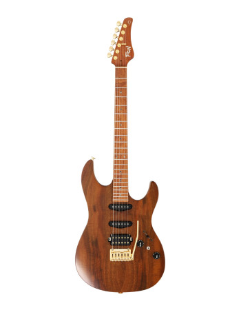FGN FGEOSDUEW2RMVNT Electric Guitar, Expert Odyssey DU EW, Vintage Natural, Case