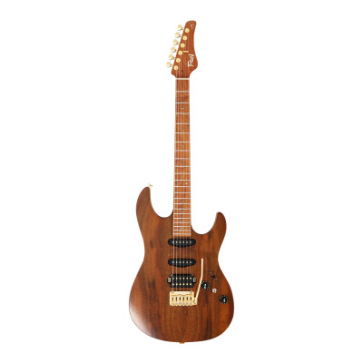 FGN FGEOSDUEW2RMVNT Electric Guitar, Expert Odyssey DU EW, Vintage Natural, Case