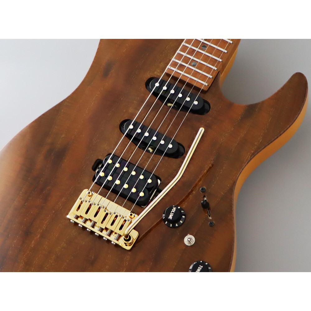 FGN FGEOSDUEW2RMVNT Electric Guitar, Expert Odyssey DU EW, Vintage Natural, Case