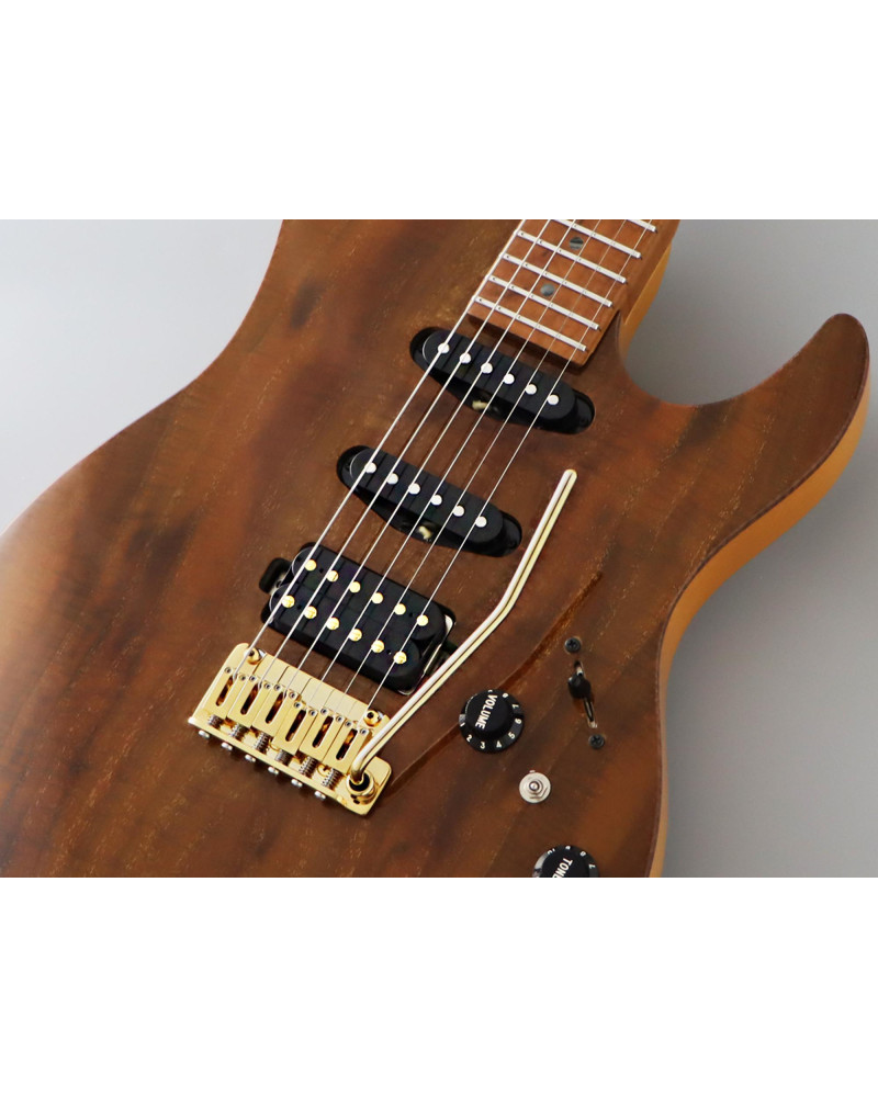 FGN FGEOSDUEW2RMVNT Electric Guitar, Expert Odyssey DU EW, Vintage Natural, Case