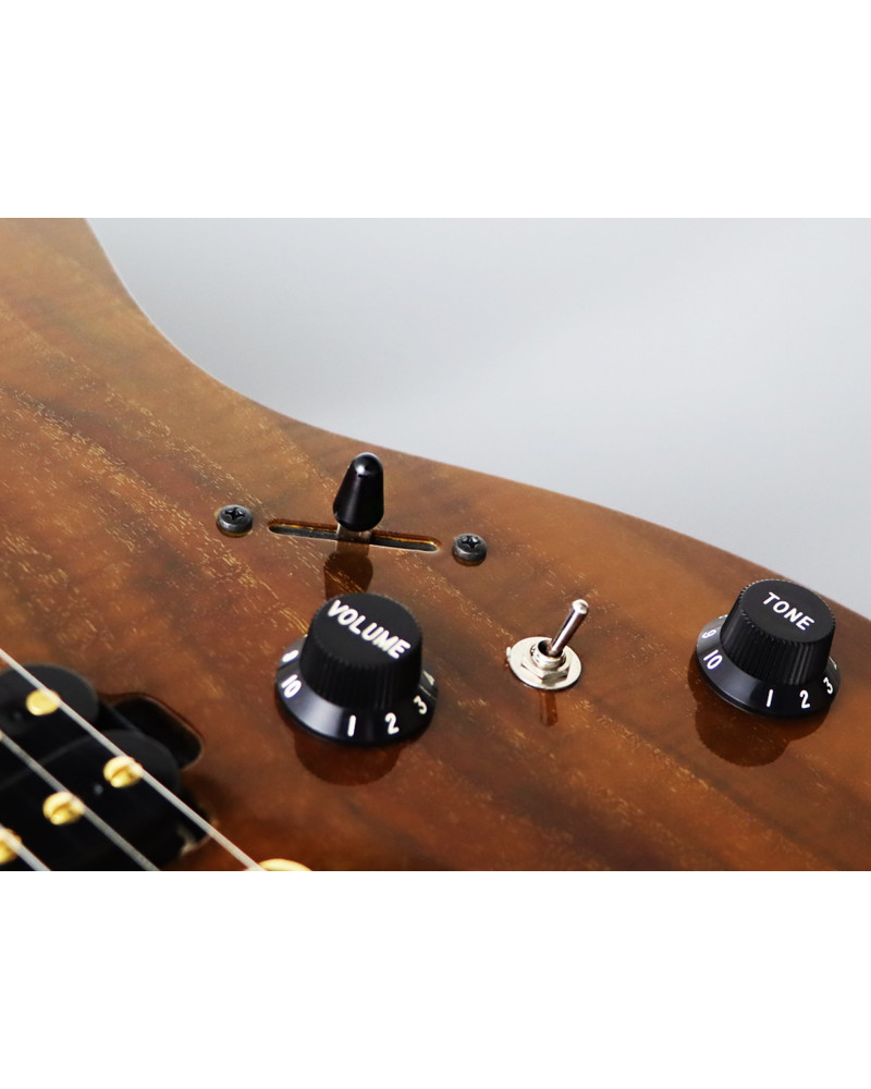 FGN FGEOSDUEW2RMVNT Electric Guitar, Expert Odyssey DU EW, Vintage Natural, Case