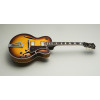 FGN FGMFAHHJB Electric Guitar, Masterfield Jazz, HH, Jazz Burst, Case