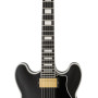 FGN FGMSAHPCBK Electric Guitar, Masterfield Semi Custom, HH, Black, Case
