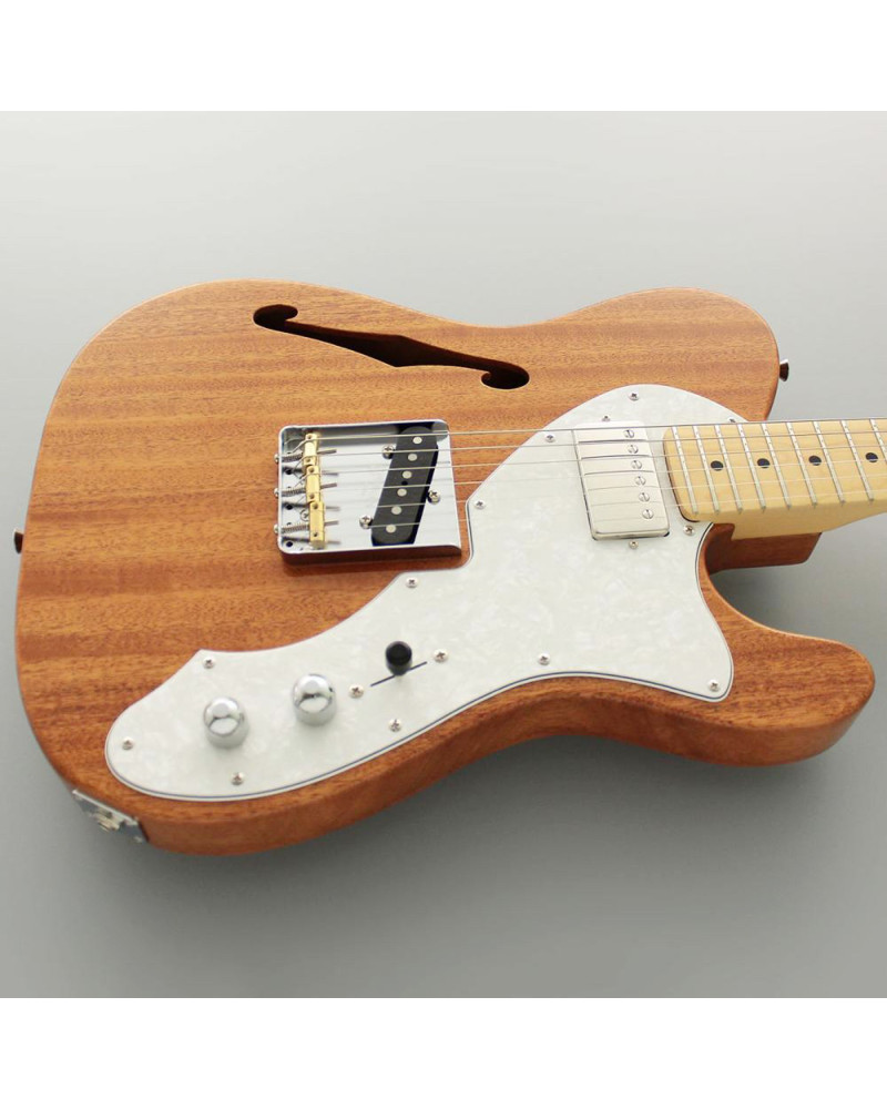 FGN FGTE110MMHTNT Electric Guitar, Neo Classic TE110, SH FGN PU, F-hole, natural, Gig Bag
