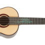 Flight A10SC Cocobolo Dragon