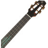 Flight A10SC Cocobolo Dragon