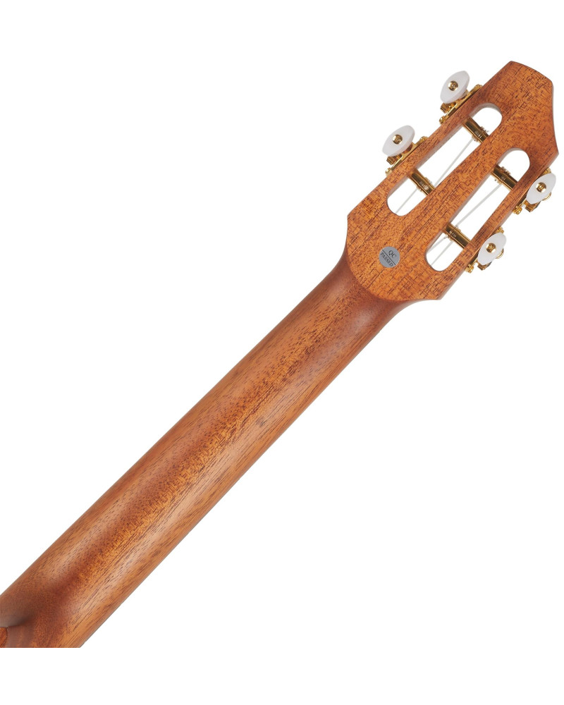Flight A10SC Cocobolo Dragon