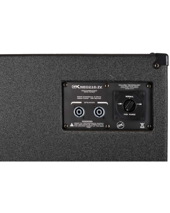 Gallien-Krueger Neo 210-IV