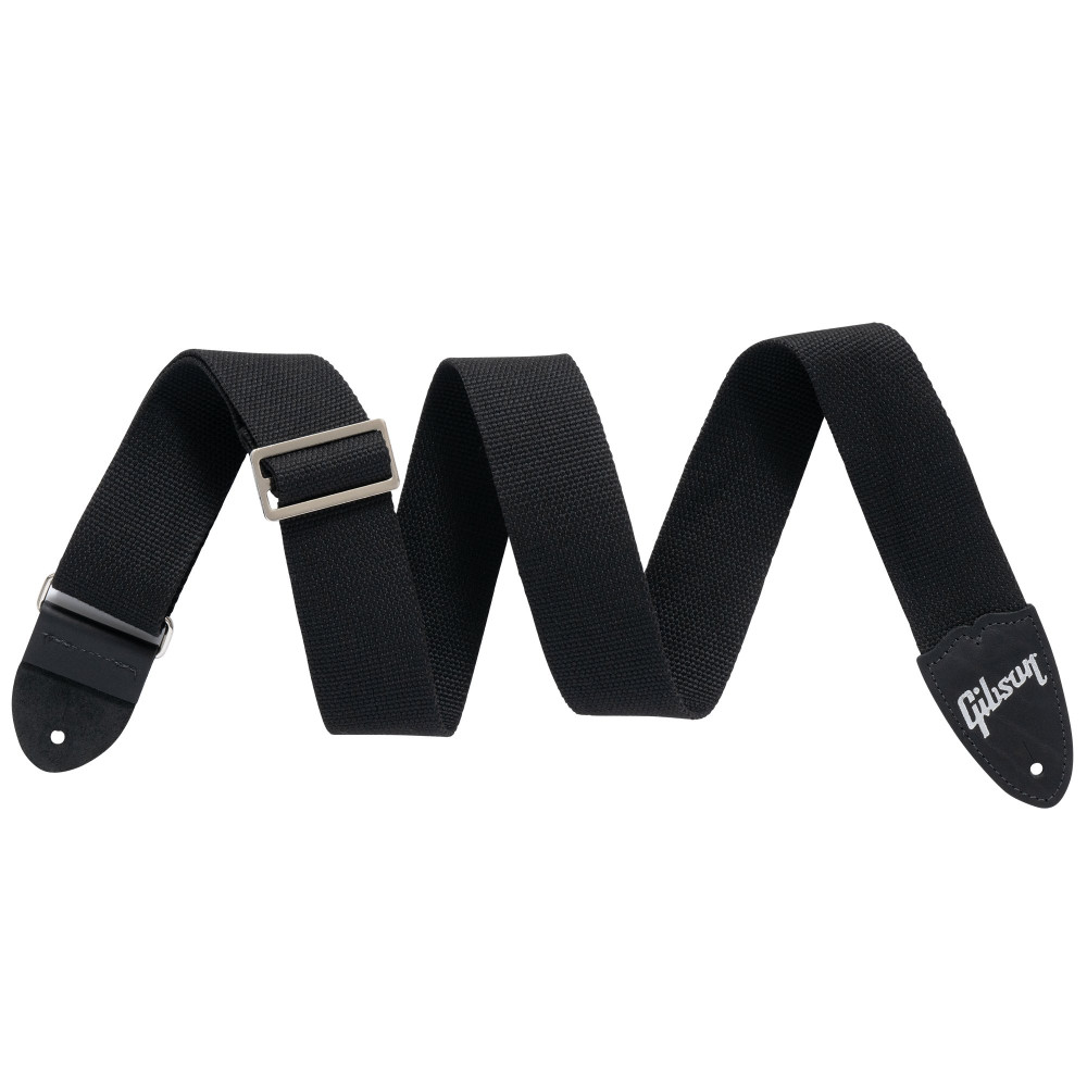 Gibson The Canvas, Black