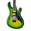Gibson Victory Floyd Rose, Iguana Burst
