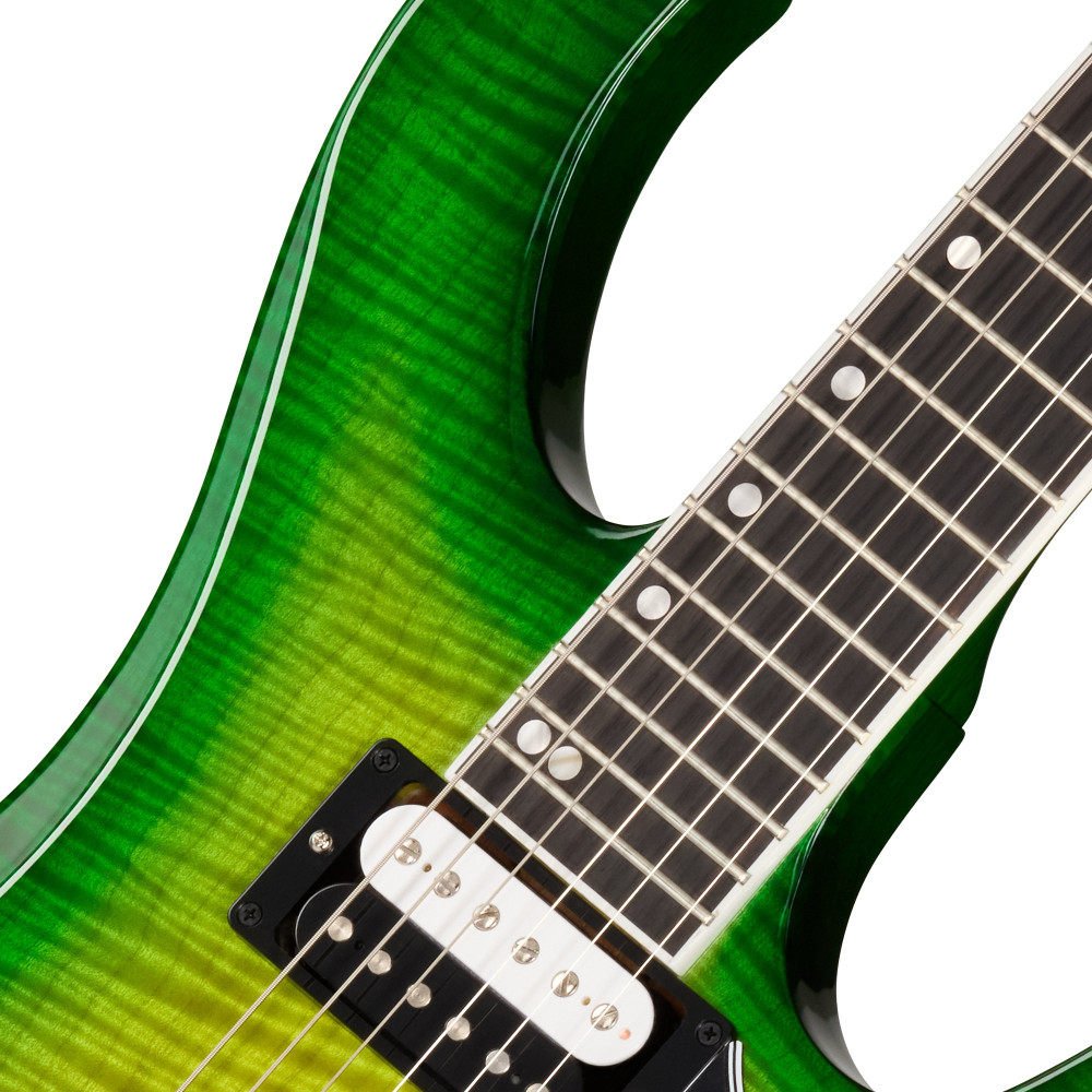 Gibson Victory Floyd Rose, Iguana Burst