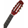 Godin Multiac Nylon SA Natural HG