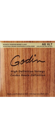 Godin Strings Acoustic Guitar XLT