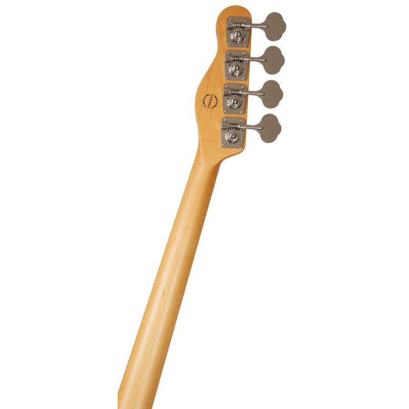 Godin Passion RG 4 Swamp Ash MN