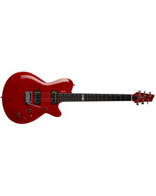 Godin DS-1 Daryl Stuermer Signature