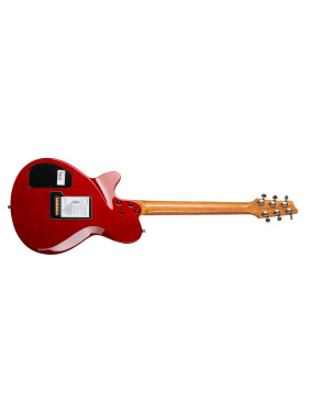 Godin DS-1 Daryl Stuermer Signature