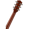 Godin Radiator Bourbon Burst RN
