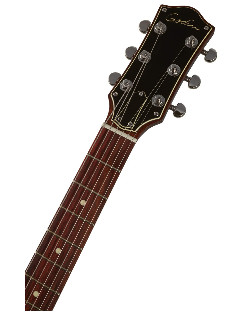 Godin Radiator Matte Black RN