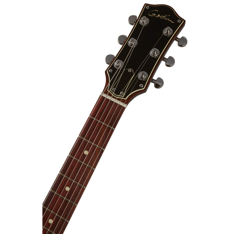 Godin Radiator Matte Black RN