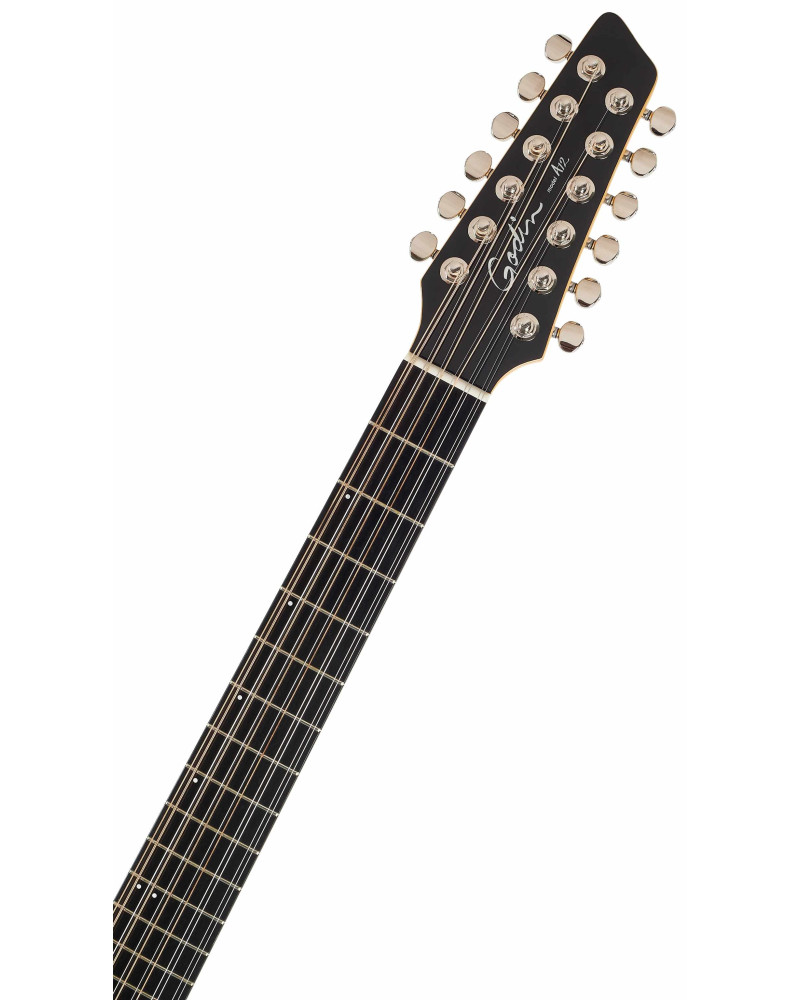 Godin A12 Black HG