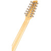 Godin A12 Black HG