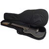 Godin A12 Black HG