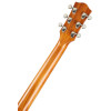 Godin Radium Winchester Brown RN