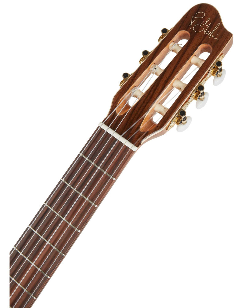 Godin Etude