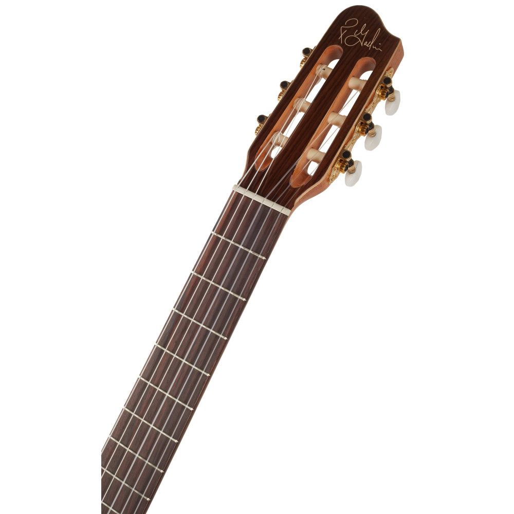 Godin Concert