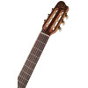 Godin Concert
