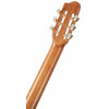 Godin Concert