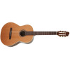 Godin Collection