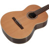 Godin Collection