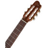 Godin Collection