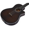 Godin Arena Pro CW Bourbon Burst EQ