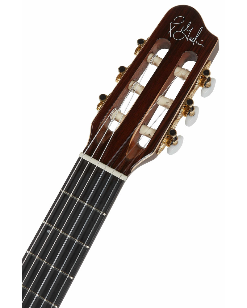 Godin Arena Pro CW Bourbon Burst EQ