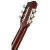 Godin Arena Pro CW Bourbon Burst EQ